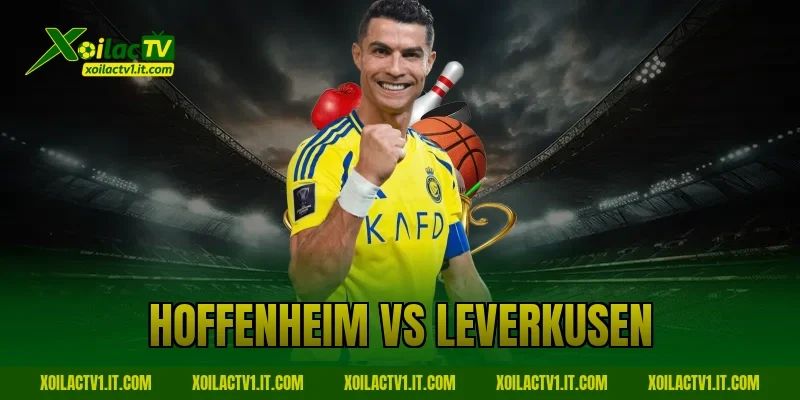 hoffenheim vs leverkusen