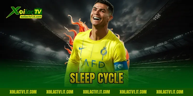 sleep cycle